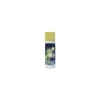 Maison Ghibli Bouteille Thermos Double Ouverture Totoro - Mon Voisin Totoro