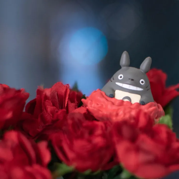 Maison Ghibli Décoration Œillet Totoro - Mon Voisin Totoro