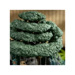 Maison Ghibli Jardin d’eau Bonsai Kasajuku - Mon Voisin Totoro